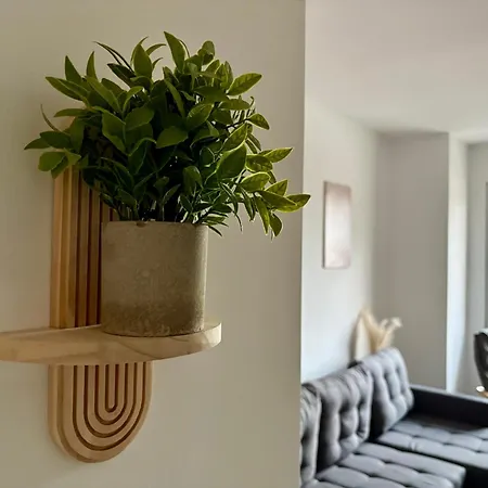 Komfort & Stil, Moderne Mit Fitnessraum *