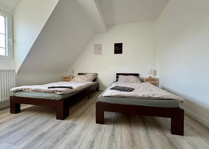 Komfort & Stil, Moderne Mit Fitnessraum